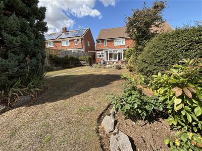 Picture 20